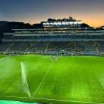 Palmeiras x Novorizontino: veja escalações do primeiro jogo da final do Paulista