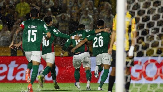 Jogadores do Palmeiras comemoram gol contra o Novorizontino