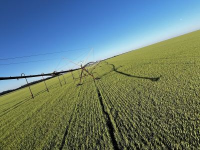 Resultado vem de um sistema produtivo baseado em irrigação por pivô central