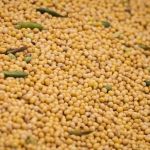 CNA pede aumento da mistura de biodiesel no diesel diante de tensão no Oriente Médio