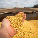 PIB da agropecuária cresce 11,7% em 2025 e impulsiona economia brasileira