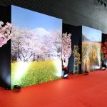 13º Festival do Japão em Minas transforma o Expominas em reduto da cultura nipônica