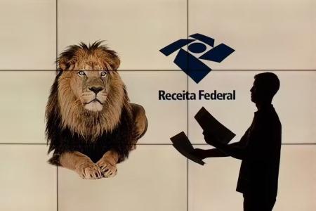 Organizar as informações antecipadamente reduz o risco de erros e agiliza a declaração