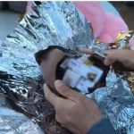 Remédios de emagrecimento são encontrados dentro de ovos de chocolate e coelho de pelúcia