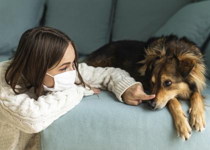 Unhas grandes, perda de pelo e feridas são sintomas comuns na leishmaniose canina