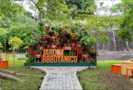 ‘Plantas’ do BBB inauguram ‘Jardim BBBotânico’ nos estúdios Globo