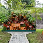‘Plantas’ do BBB inauguram ‘Jardim BBBotânico’ nos estúdios Globo