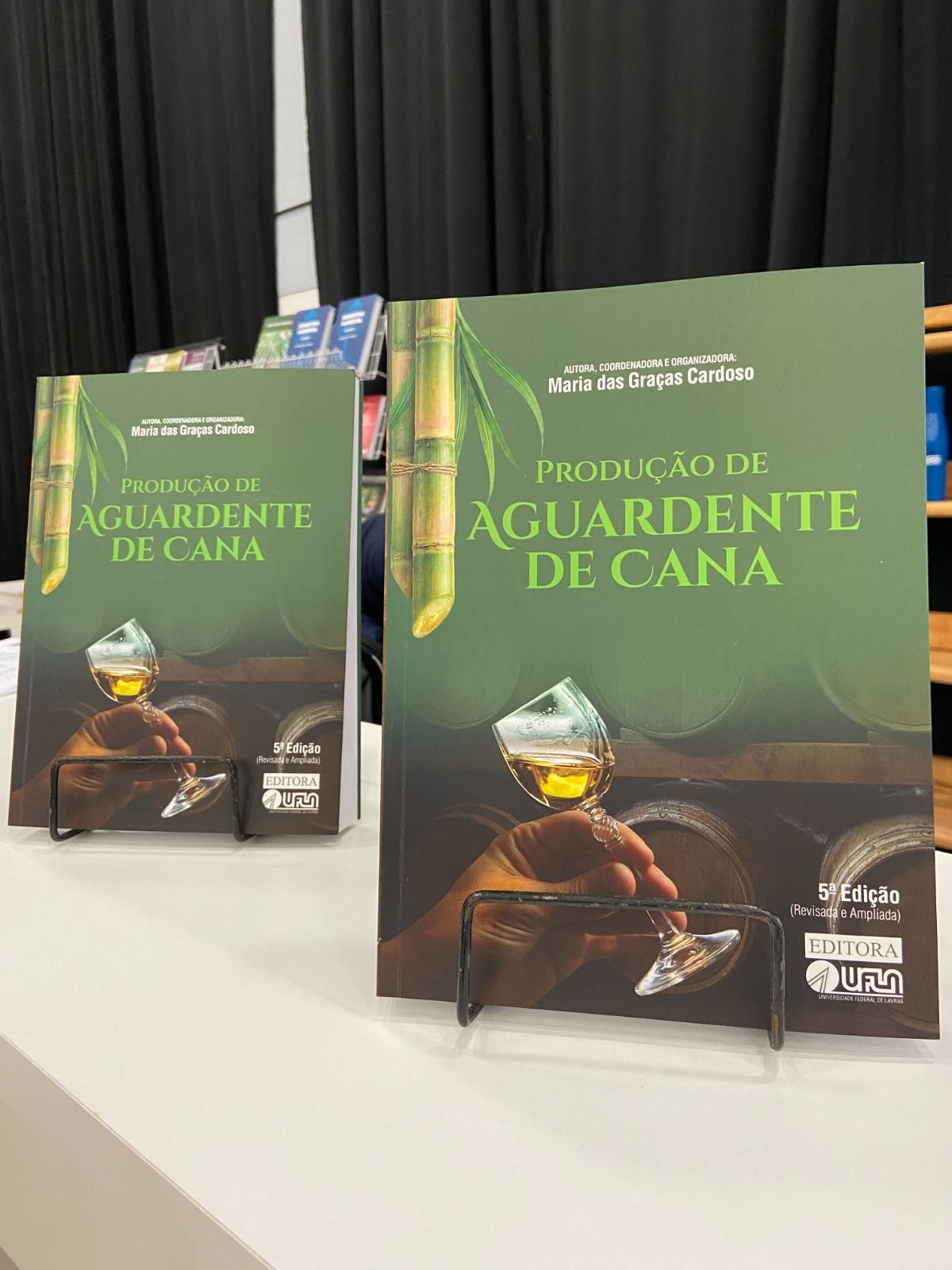 UFLA sedia simpósio sobre informalidade na produção de cachaça