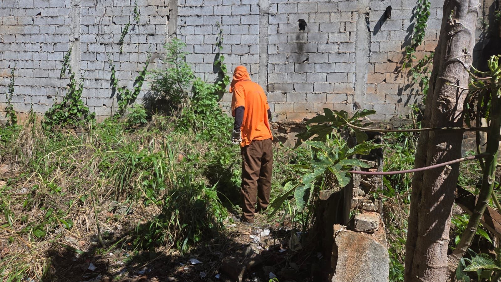 Após reportagem da Itatiaia, prefeitura limpa terreno no Centro da cidade