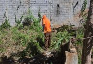 Após reportagem da Itatiaia, prefeitura limpa terreno no Centro da cidade
