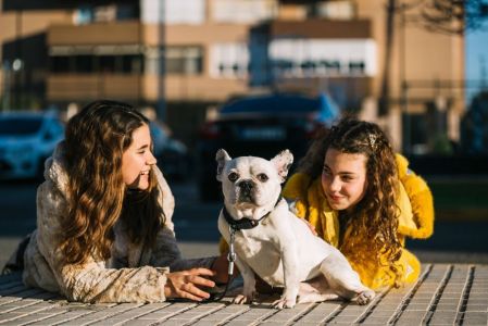 pets cachorro tutores