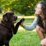 Cinco minutos de brincadeira por dia podem melhorar a relação com seu cachorro