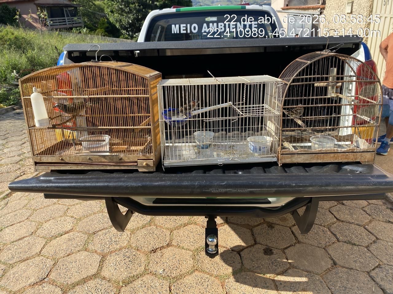 Polícia Militar de Meio Ambiente apreende 254 aves no Sul de Minas