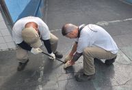 Prefeitura vistoriza 37 unidades de ensino contra escorpiões