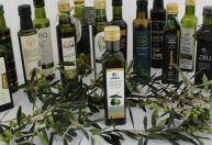 Maria da Fé recebe a 7ª Festa do Azeite Novo neste feriado