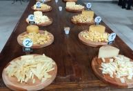 Itanhandu sedia concurso regional de queijo artesanal nesta sexta