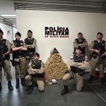 Mais de 200 pacotes de maconha foram apreendidos pela PM em Cambuí