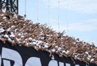 Torcedores organizados do Santos conversam com Cuca e jogadores no CT