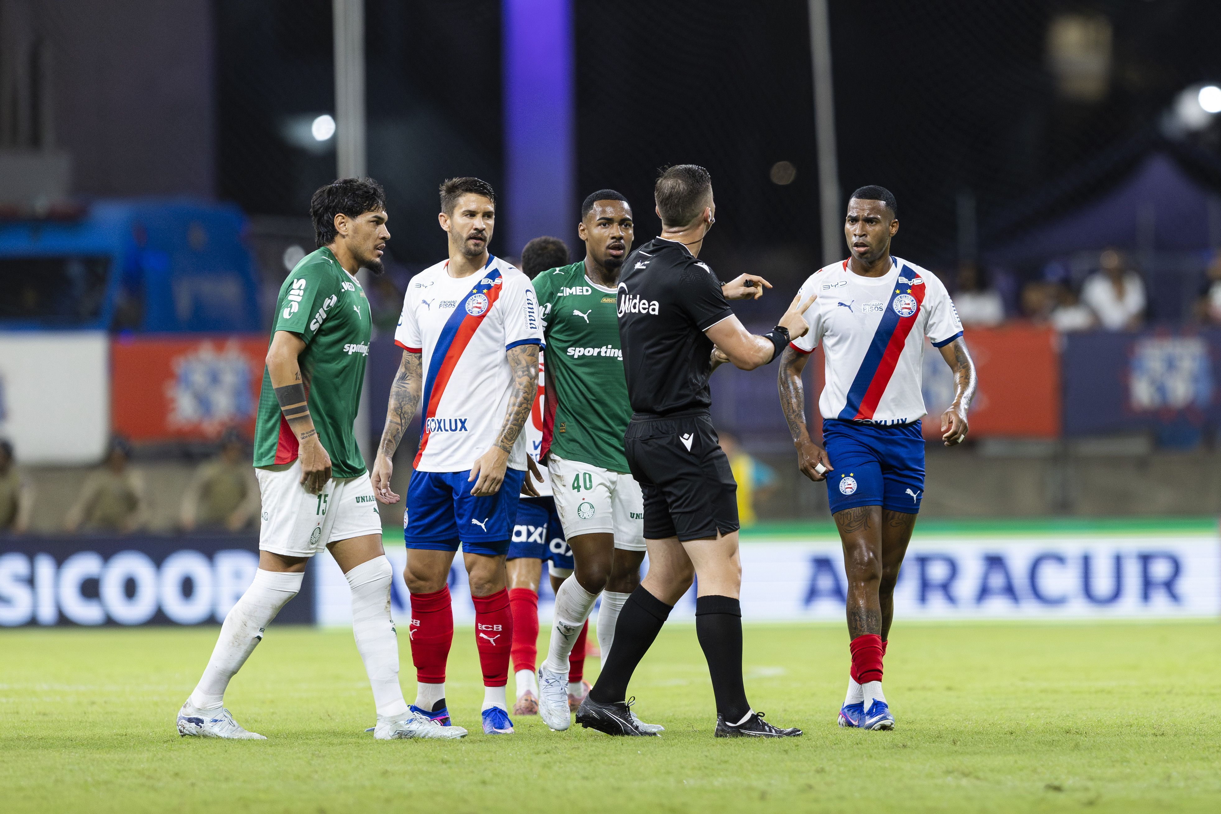 Bahia x Palmeiras: Tricolor é enquadrado pelo STJD e terá profissionais julgados