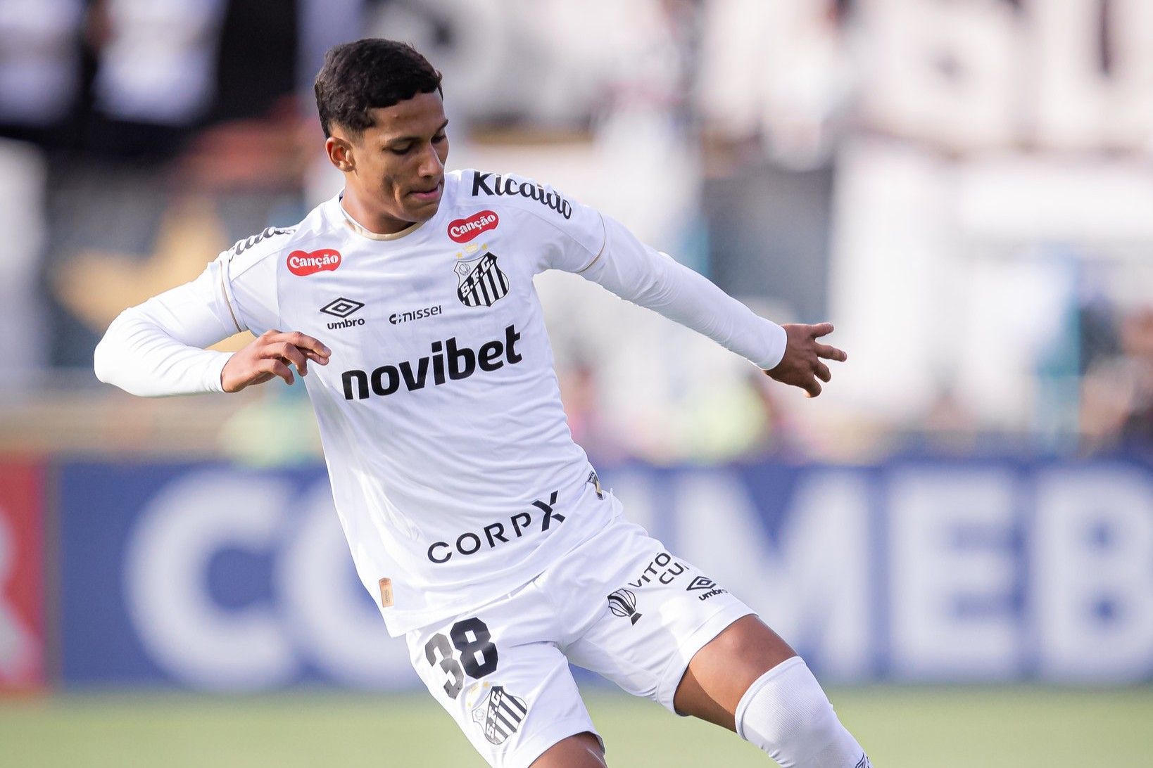 Santos: jovem se destaca e ganha pontos em derrota na Sul-Americana