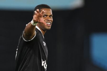 Júnior Santos vibra com gol marcado pelo Botafogo na Copa Sul-Americana • Vitor Silva / Botafogo