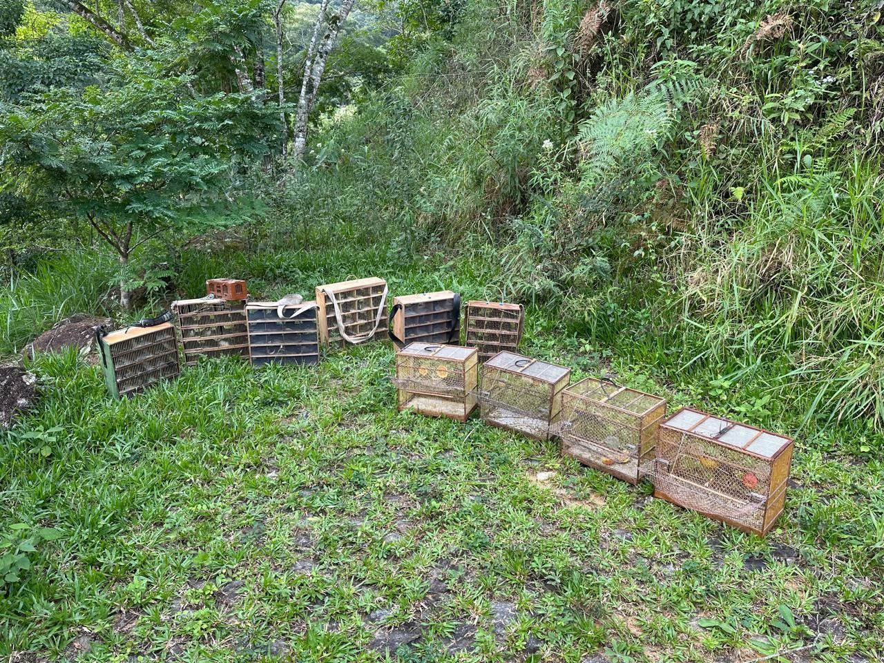 Operação contra crimes ambientais prende 14 pessoas no Sul de Minas