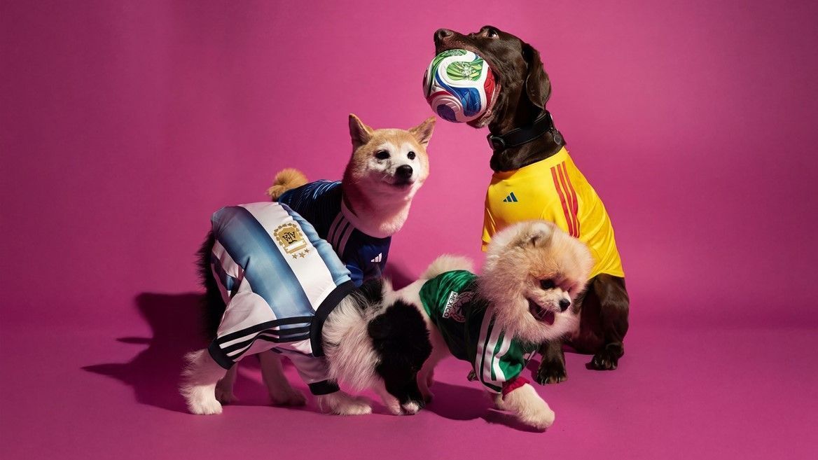 Adidas lança uniformes oficiais da Copa 2026 para pets