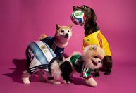 Adidas lança uniformes oficiais da Copa 2026 para pets