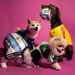 Adidas lança uniformes oficiais da Copa 2026 para pets
