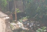 Vizinhos de imóvel em ruínas no Centro de Varginha reclamam da sujeira