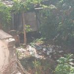 Vizinhos de imóvel em ruínas no Centro de Varginha reclamam da sujeira