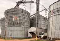 'Agro Fora da Caixa': hub de IA e gestão no campo projeta imersão no Vale do Silício