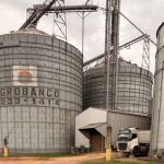 'Agro Fora da Caixa': hub de IA e gestão no campo projeta imersão no Vale do Silício