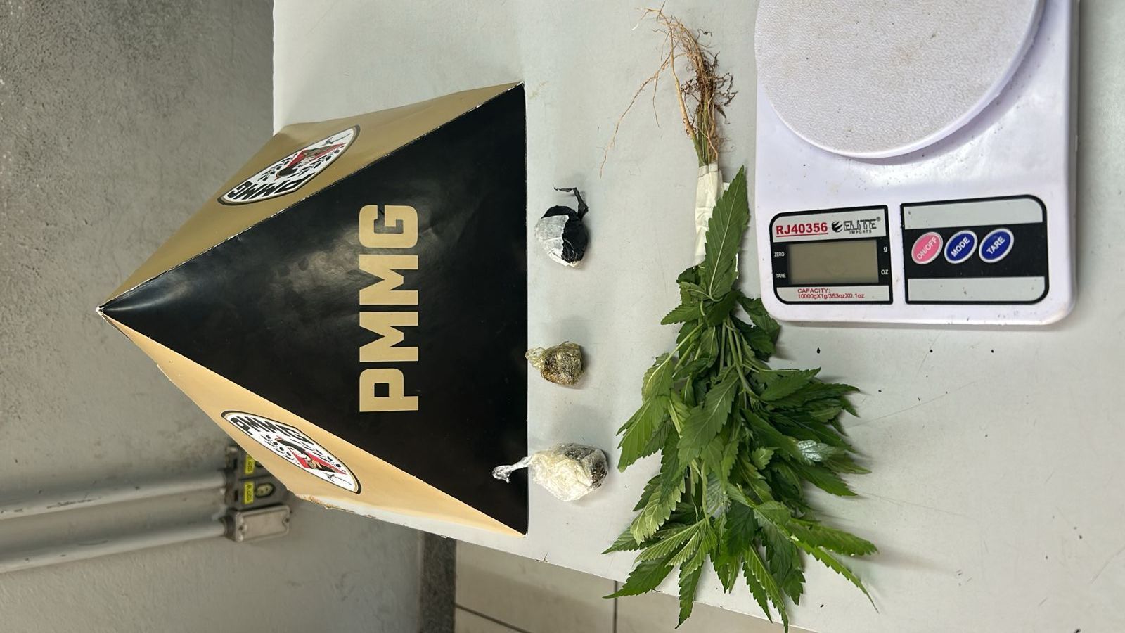 Ocorrência de violência doméstica termina com apreensão de drogas e pés de maconha em Ipatinga