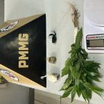 Ocorrência de violência doméstica termina com apreensão de drogas e pés de maconha em Ipatinga
