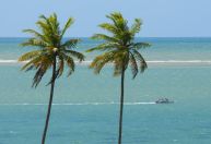 Eleitores de cidade na Paraíba irão escolher novo prefeito e vice neste domingo (12)