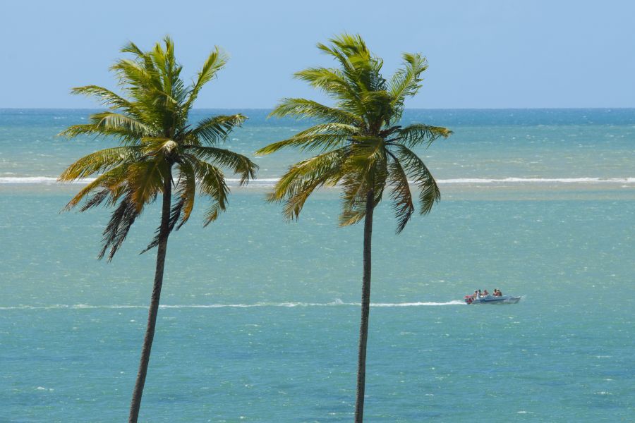 Eleitores de cidade na Paraíba irão escolher novo prefeito e vice neste domingo (12)