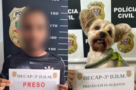 Homem é preso após usar disfarce para furtar o cão da ex em pet shop de SP