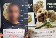 Vídeo: Homem é preso após usar disfarce para furtar o cão da ex em pet shop de SP