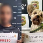 Vídeo: Homem é preso após usar disfarce para furtar o cão da ex em pet shop de SP