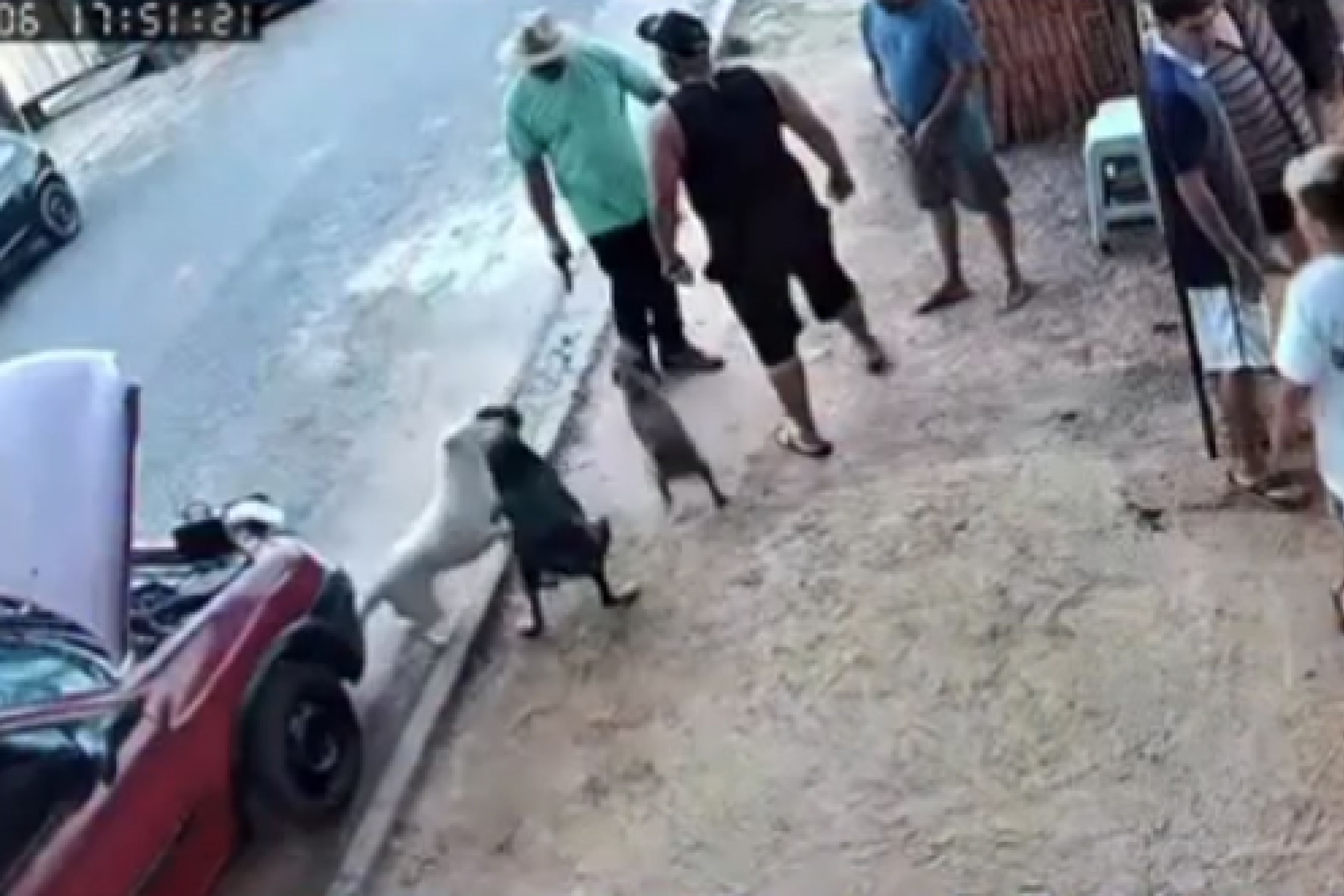Vereador é cassado após atirar para espantar cães durante confusão no interior de SP