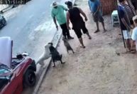 Vereador é flagrado atirando para espantar cães durante confusão em Itu-SP