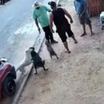 Vereador é flagrado atirando para espantar cães durante confusão em Itu-SP