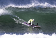 Cachorra campeã mundial de surfe morre e comove fãs no mundo todo
