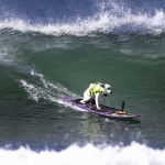 Cachorra campeã mundial de surfe morre e comove fãs no mundo todo