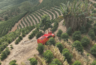 Após 4 dias de buscas, corpo de idosa é encontrado na zona rural de Campestre