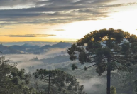 Monte Verde espera tempo bom e frio para o feriado do Dia do Trabalho