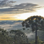 Monte Verde espera tempo bom e frio para o feriado do Dia do Trabalho