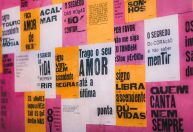 Coletivo #UmLambePorDia celebra 10 anos com circulação por Minas Gerais