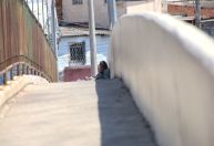 Sem sinal da PBH, projeto sobre internação involuntária de dependentes volta à Câmara